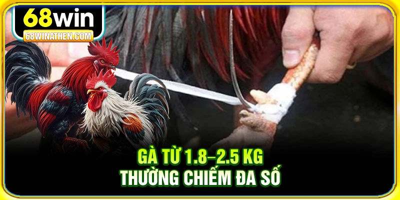 Gà từ 1.8–2.5 kg thường chiếm đa số